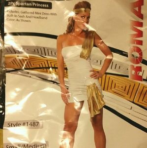 Spartan Princess Costume